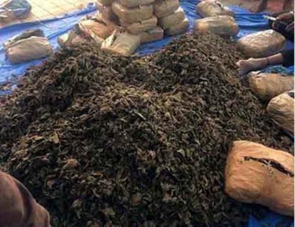 The Weekend Leader - Ganja worth over Rs 8 cr seized in Telangana
